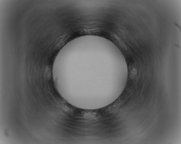 X0000092100471200709121113