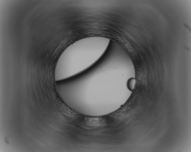 X0000092100473200709121113