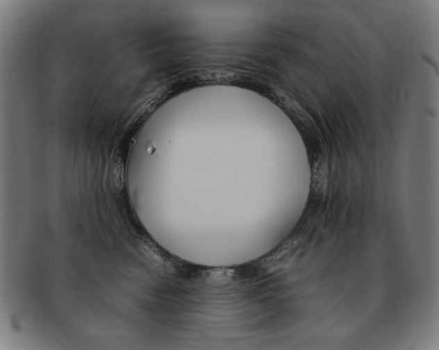 X0000092100474200709121113
