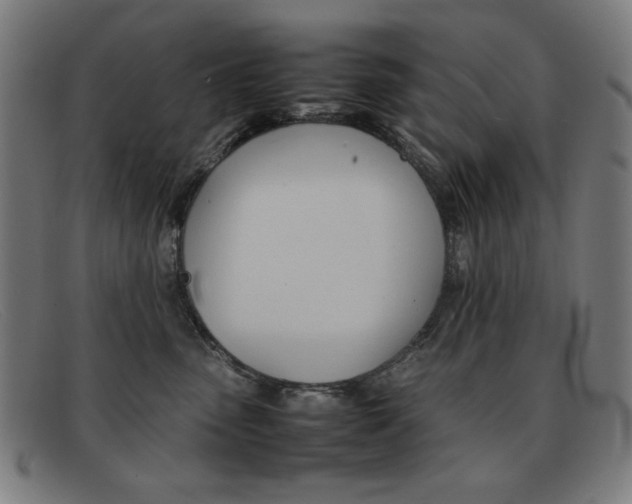 X0000092100475200709121113