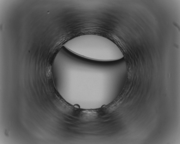 X0000092100477200709121113