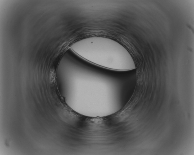 X0000092100478200709121113