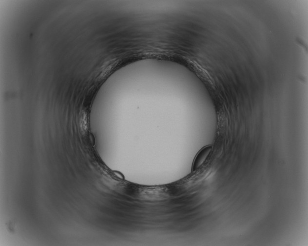 X0000092100479200709121113