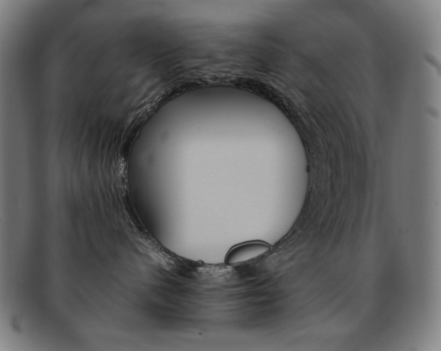 X0000092100480200709121113