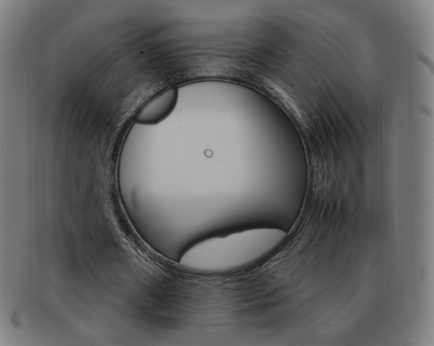 X0000092100482200709121113