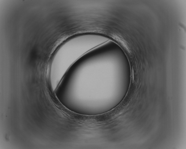 X0000092100483200709121113