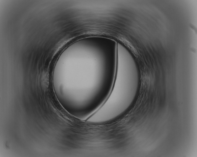 X0000092100484200709121113