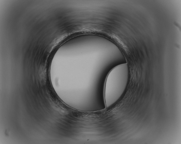 X0000092100488200709121113