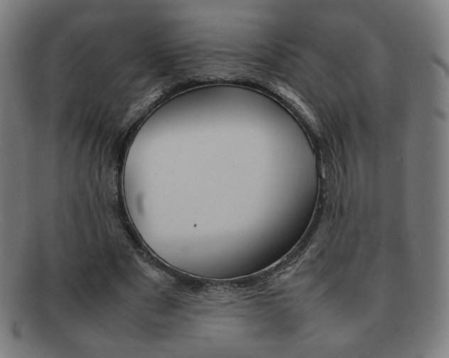 X0000092100489200709121113