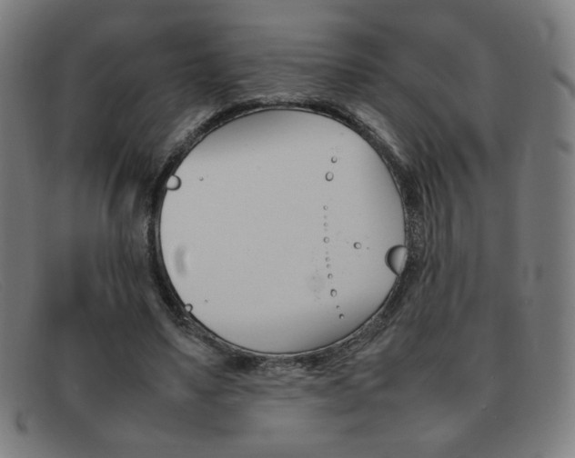 X0000092100491200709121113
