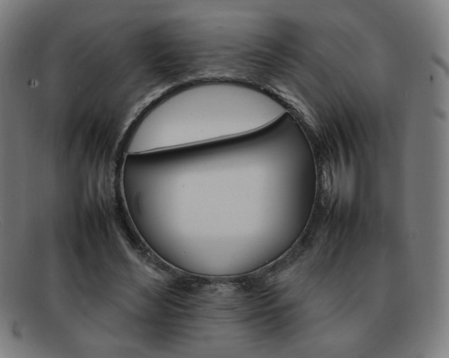 X0000092100492200709121113