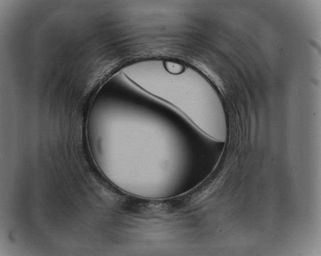 X0000092100493200709121113