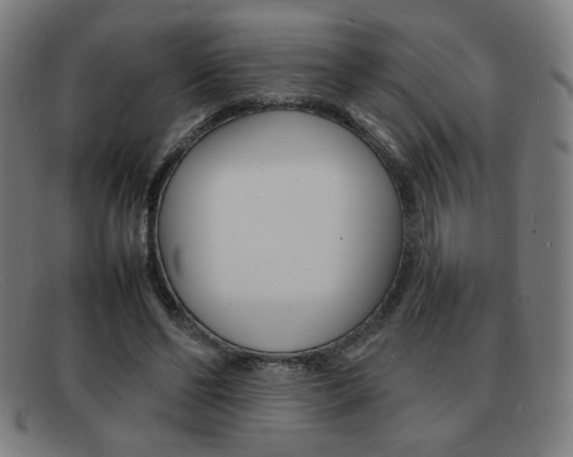 X0000092100494200709121113
