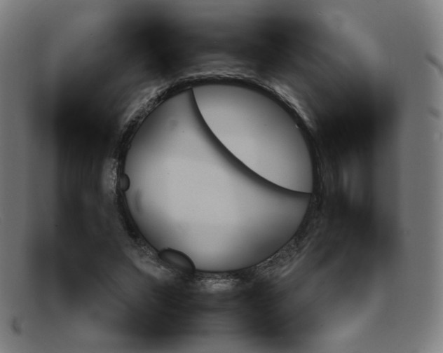 X0000092100495200709121113