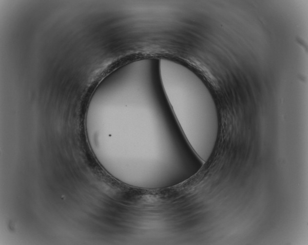 X0000092100496200709121113