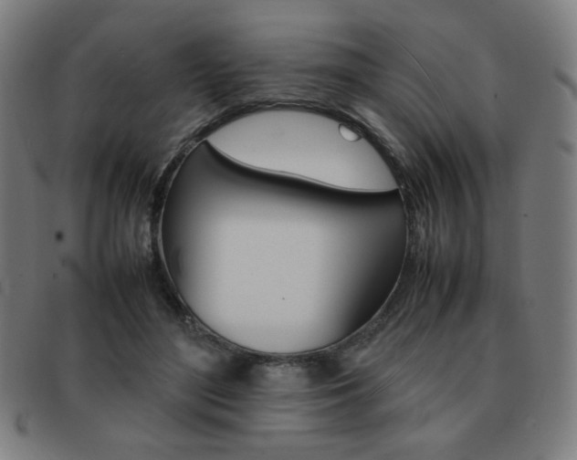 X0000092100500200709121112