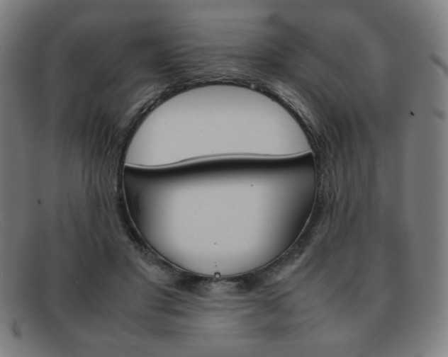 X0000092100501200709121112
