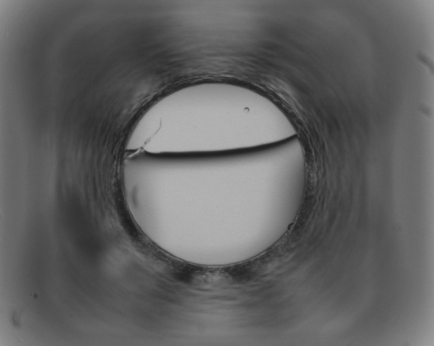 X0000092100503200709121112
