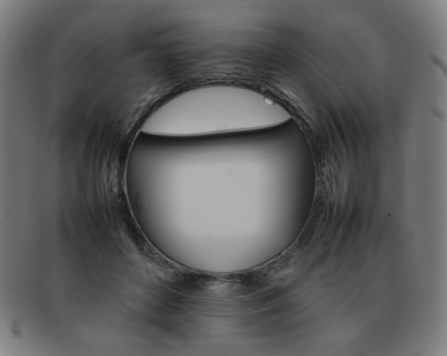 X0000092100504200709121112