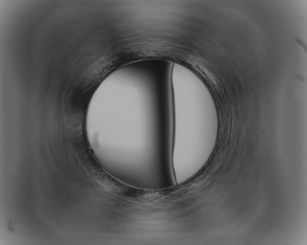 X0000092100505200709121112