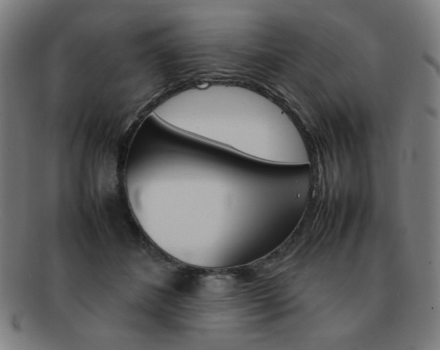 X0000092100508200709121112