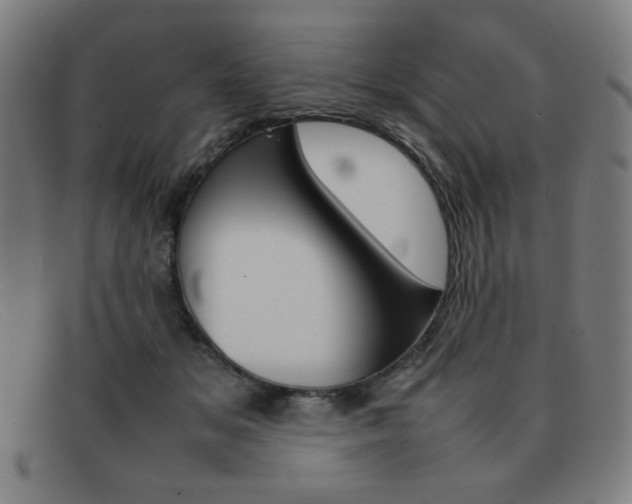 X0000092100509200709121112