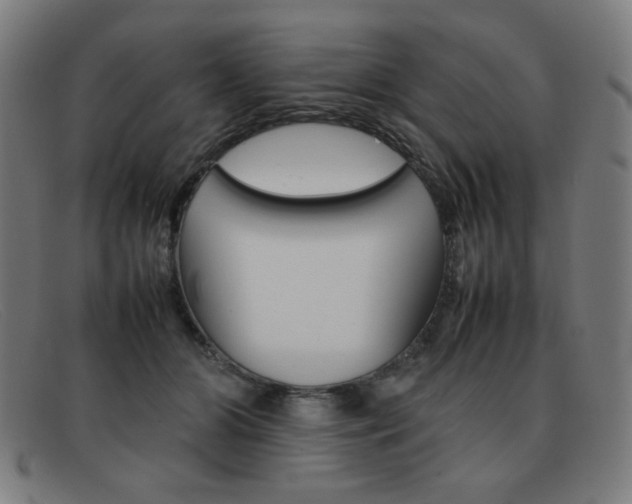 X0000092100510200709121112