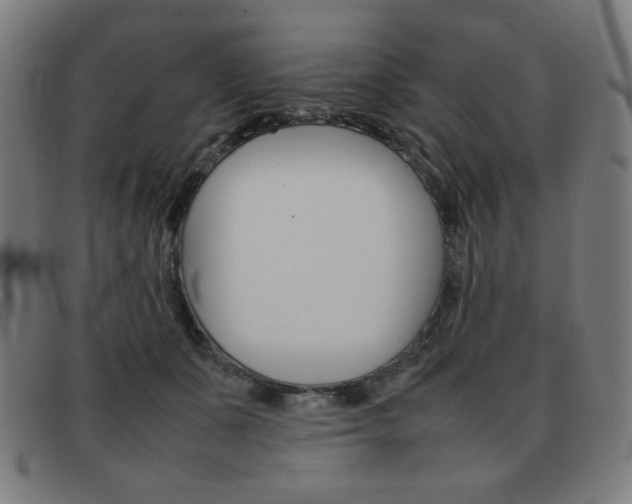 X0000092100511200709121112