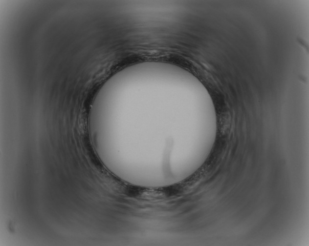 X0000092100515200709121112