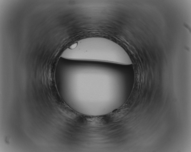 X0000092100516200709121112