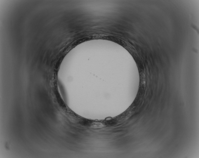 X0000092100519200709121112
