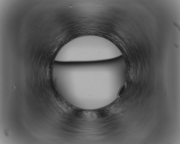 X0000092100520200709121112