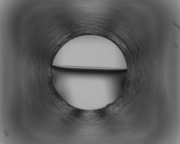 X0000092100521200709121112