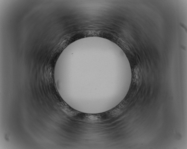 X0000092100522200709121112