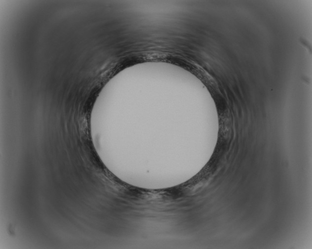 X0000092100523200709121112