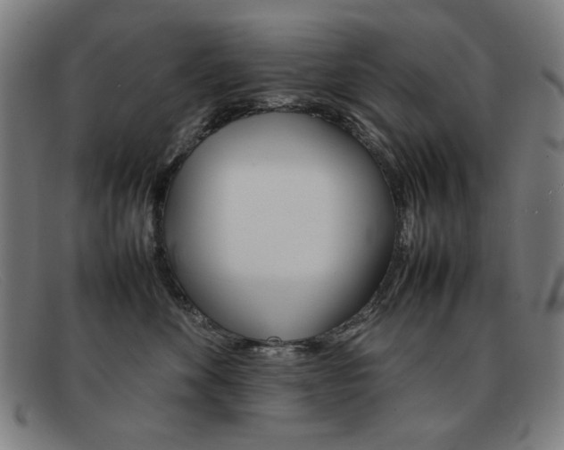 X0000092100524200709121112