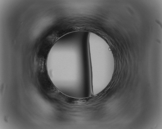 X0000092100525200709121112