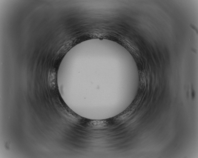 X0000092100526200709121112