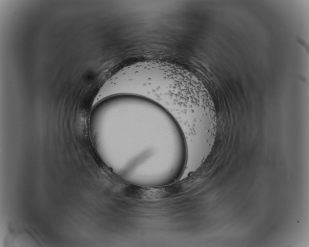 X0000092100527200709121112