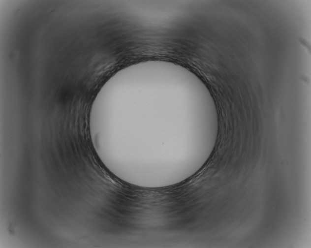 X0000092100528200709121112