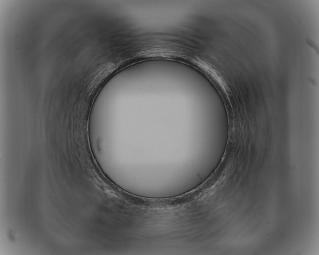 X0000092100529200709121111