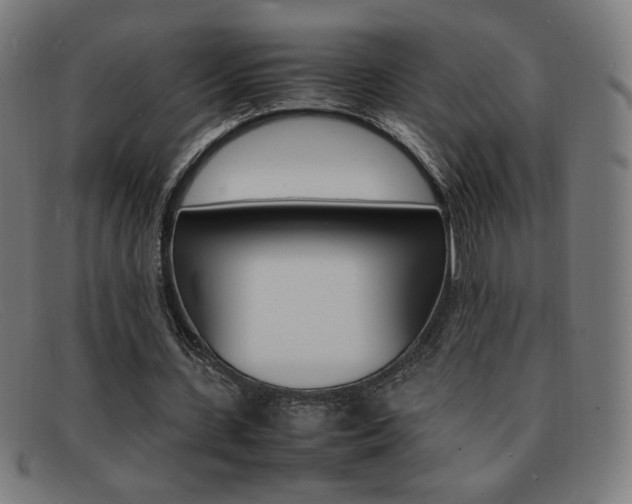 X0000092100531200709121111