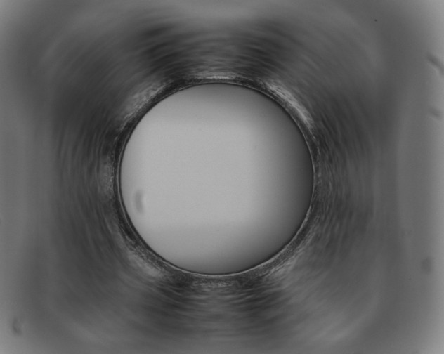 X0000092100533200709121111
