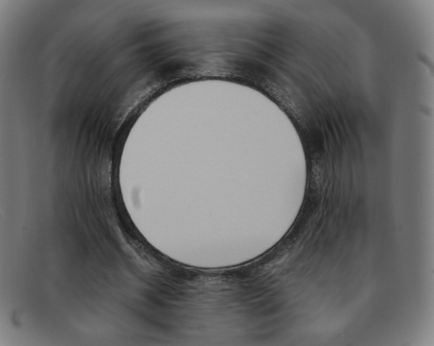 X0000092100534200709121111