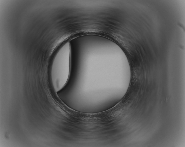 X0000092100535200709121111