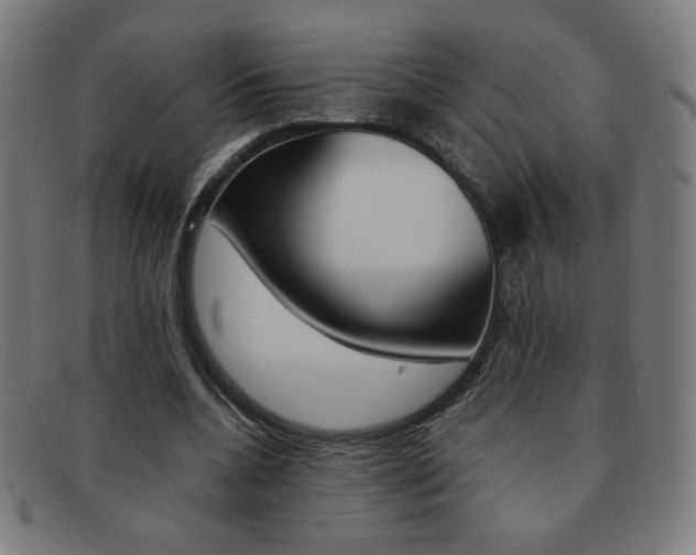 X0000092100536200709121111