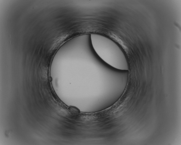 X0000092100537200709121111