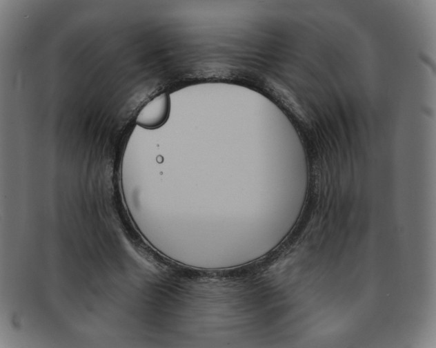 X0000092100538200709121111