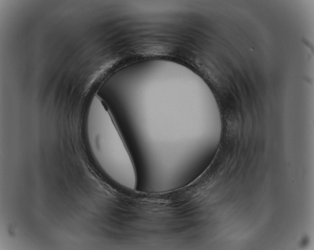 X0000092100539200709121111