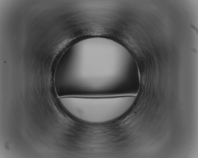 X0000092100540200709121111